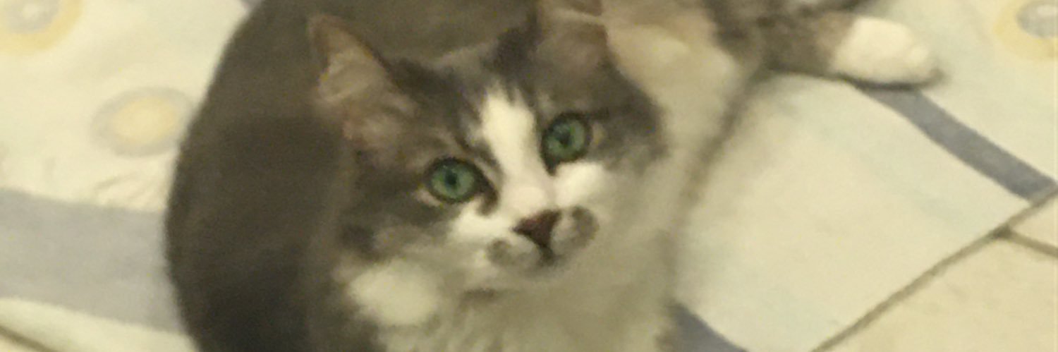 diatehneko's profile banner image