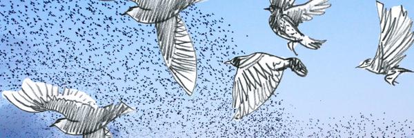 zoecameronhere Profile Banner