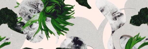 livilonks's profile banner image