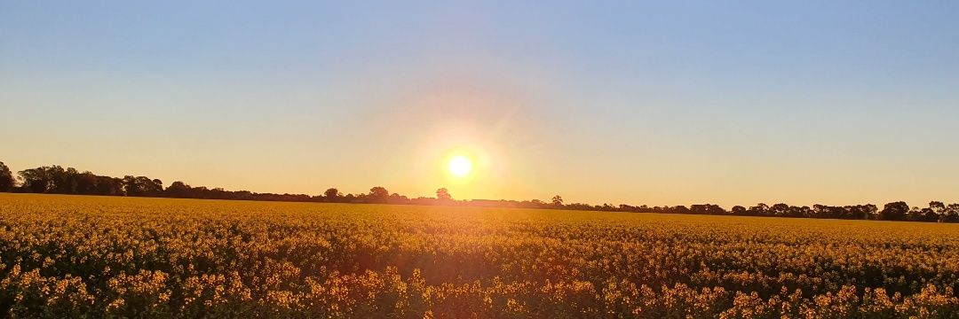 Jacqui Hawkins banner