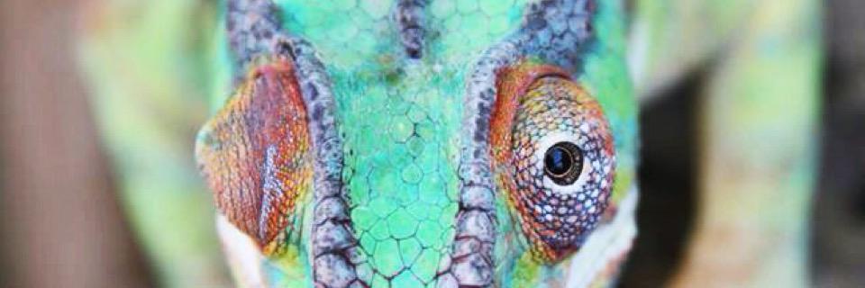 IndeedImDeeds's profile banner image