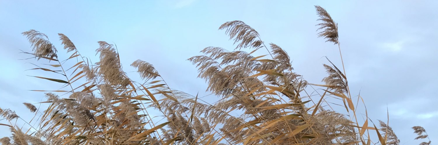 FklSword's profile banner image