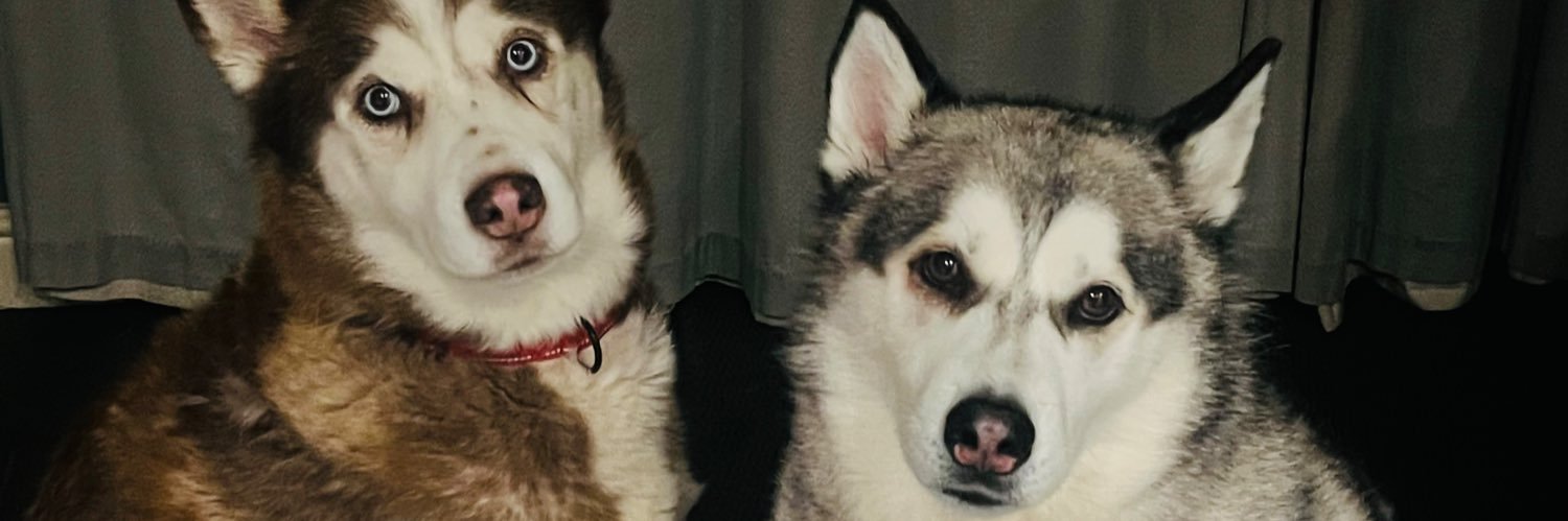 jdd1911's profile banner image