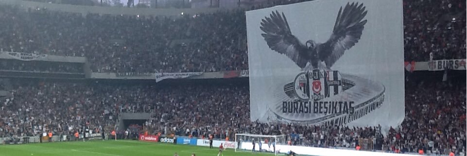 titia10 banner