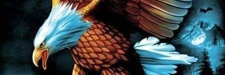 syamh45's profile banner image