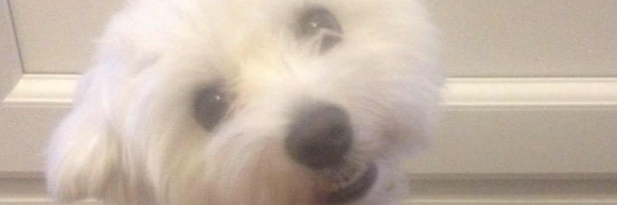 Jonathansegal85's profile banner image