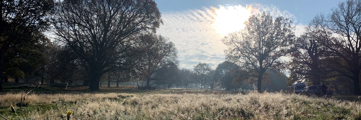 Walk Magazine banner