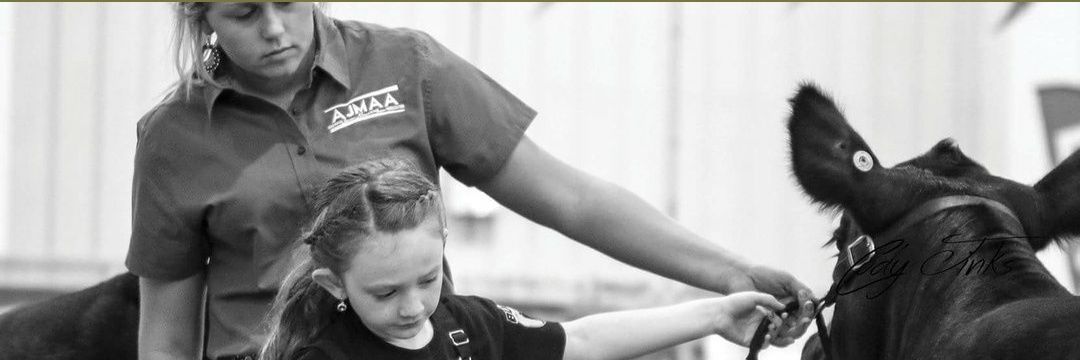 Kassi_Rice's profile banner image