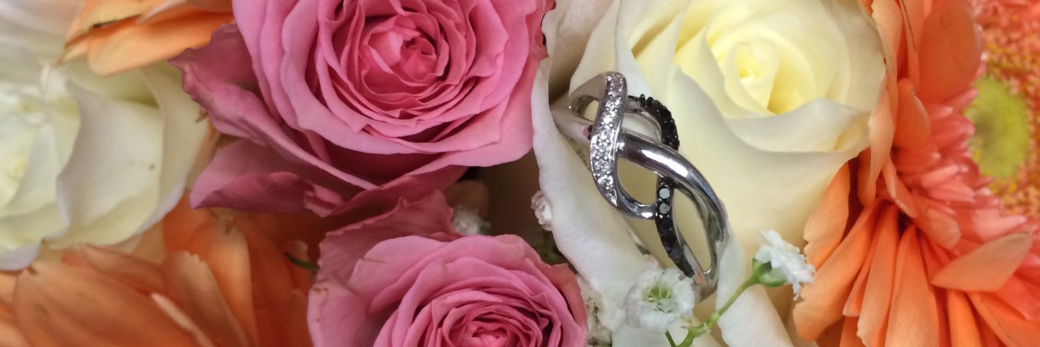 ReneeAnderson91's profile banner image