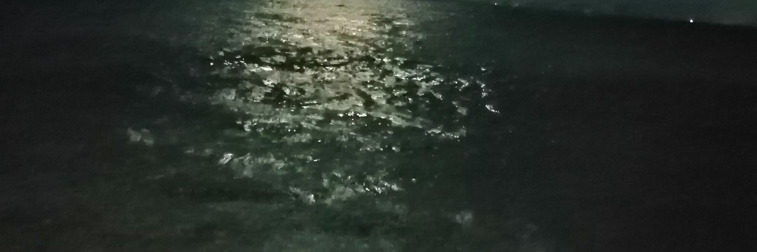 SagaLoki's profile banner image
