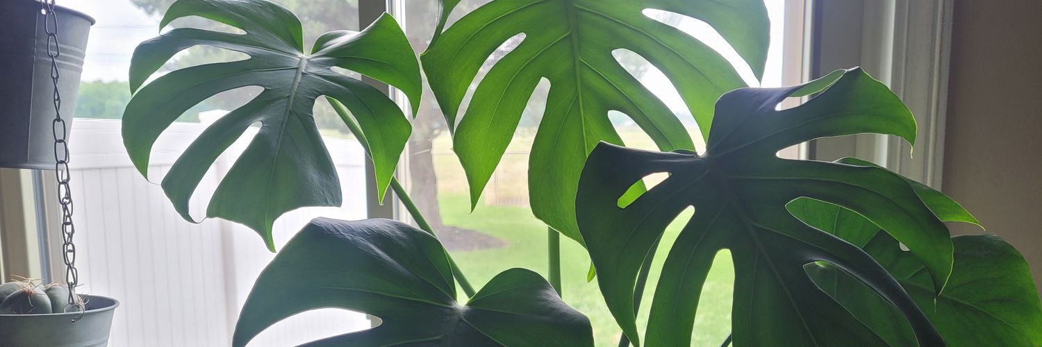 AshleyKaaay's profile banner image