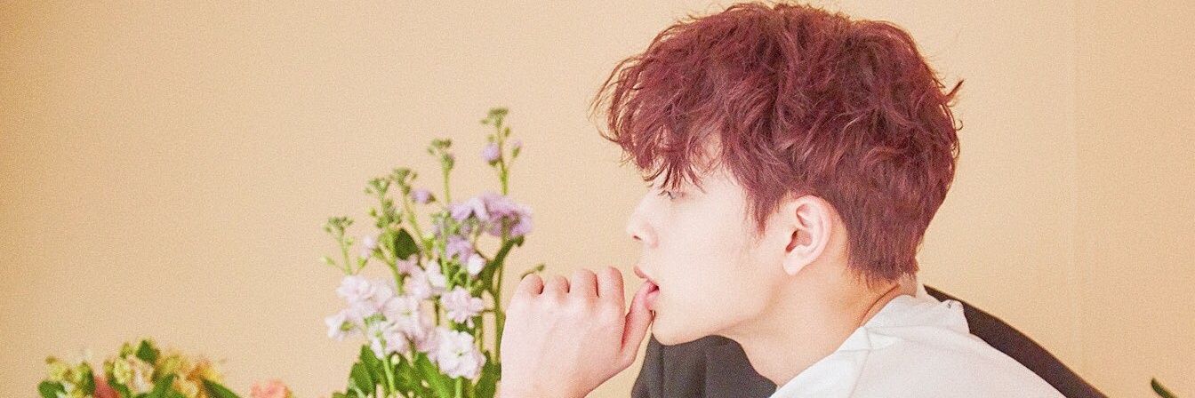 seonhophile's profile banner image