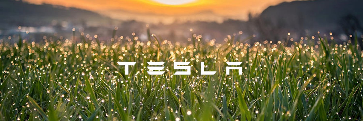 PsyTsla's profile banner image