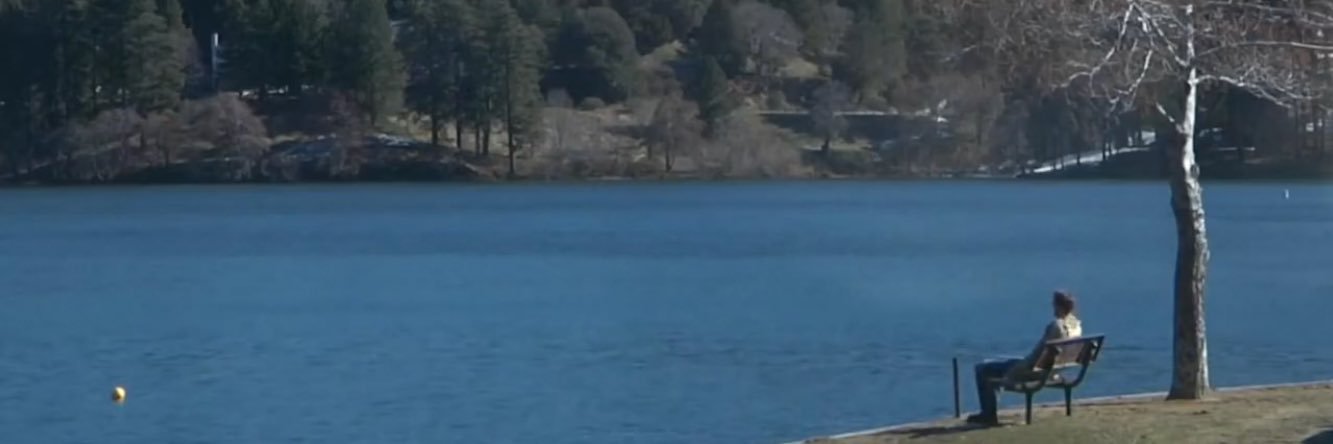 beeisnt's profile banner image