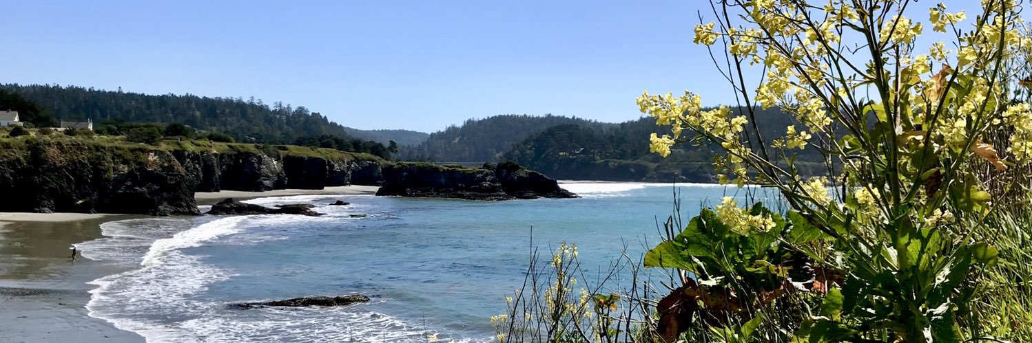 James Harrison banner