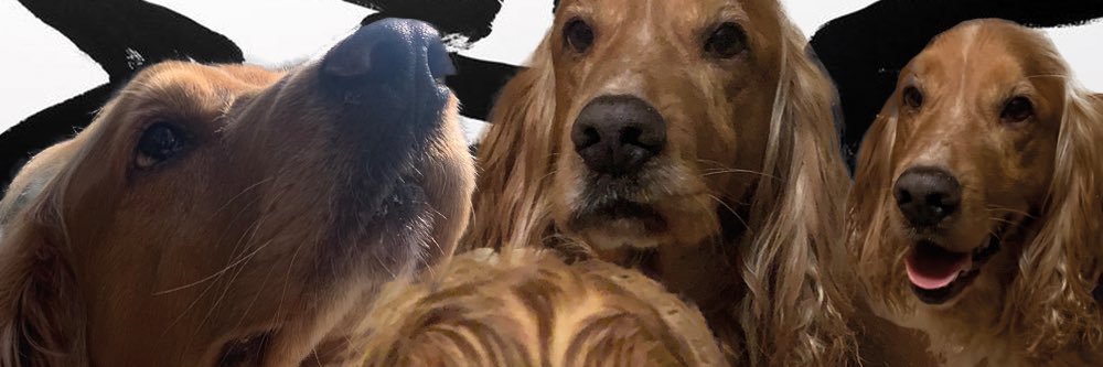 rentonhead's profile banner image