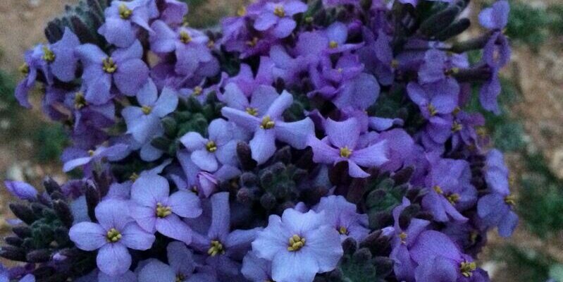 عدنان الحربي banner