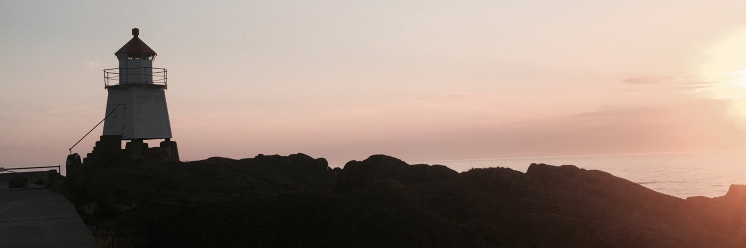 maritpeleman's profile banner image