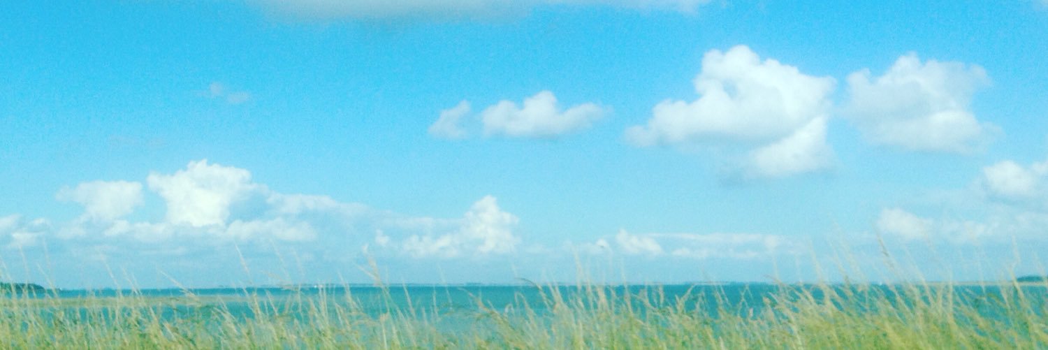Nickypedia's profile banner image