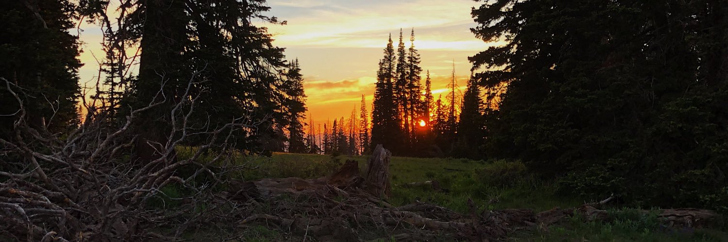 SamVawdrey's profile banner image