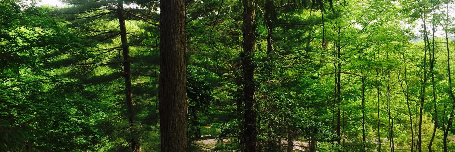 wrunkleee's profile banner image