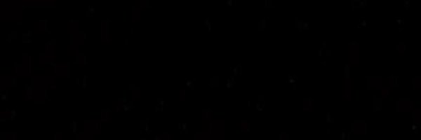 precisbe Profile Banner