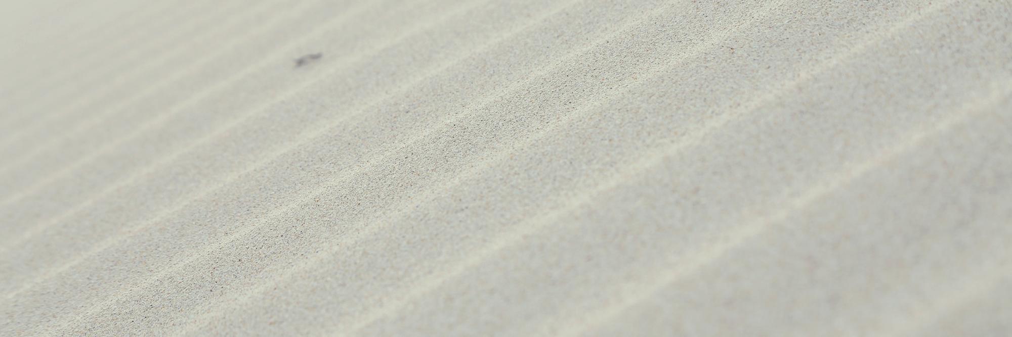 _rabong_'s profile banner image