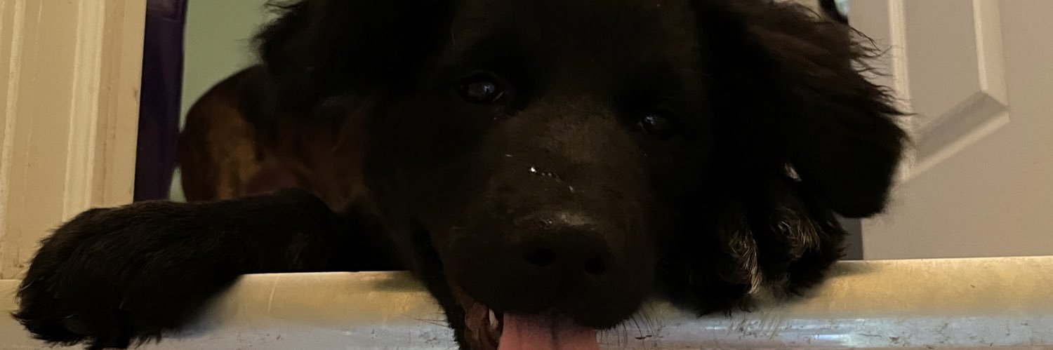 segray25's profile banner image