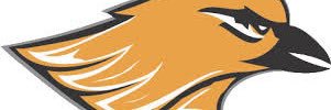 cdoghron's profile banner image