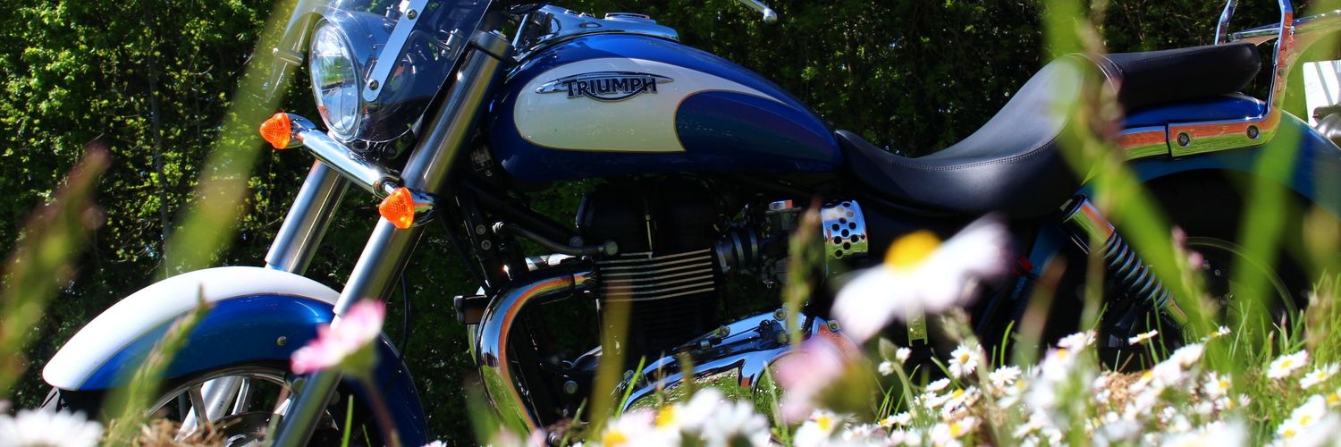 bugzy1967's profile banner image
