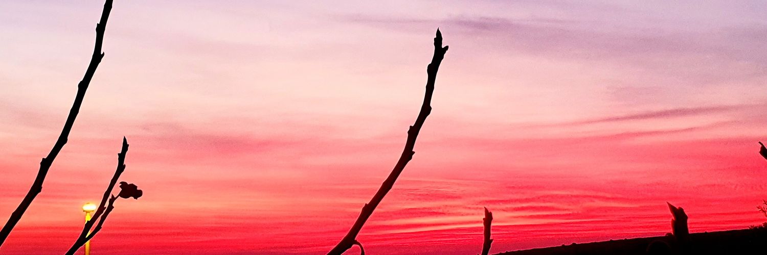 הדר🇮🇱 banner