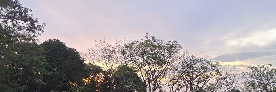 Edintasnow's profile banner image