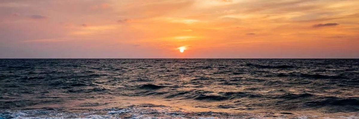 marychida99's profile banner image