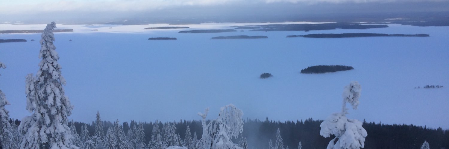 Kille Tölönen banner