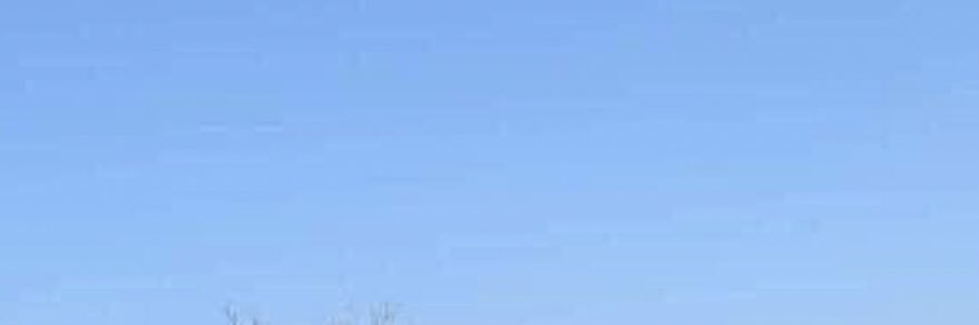 DonDabbin's profile banner image