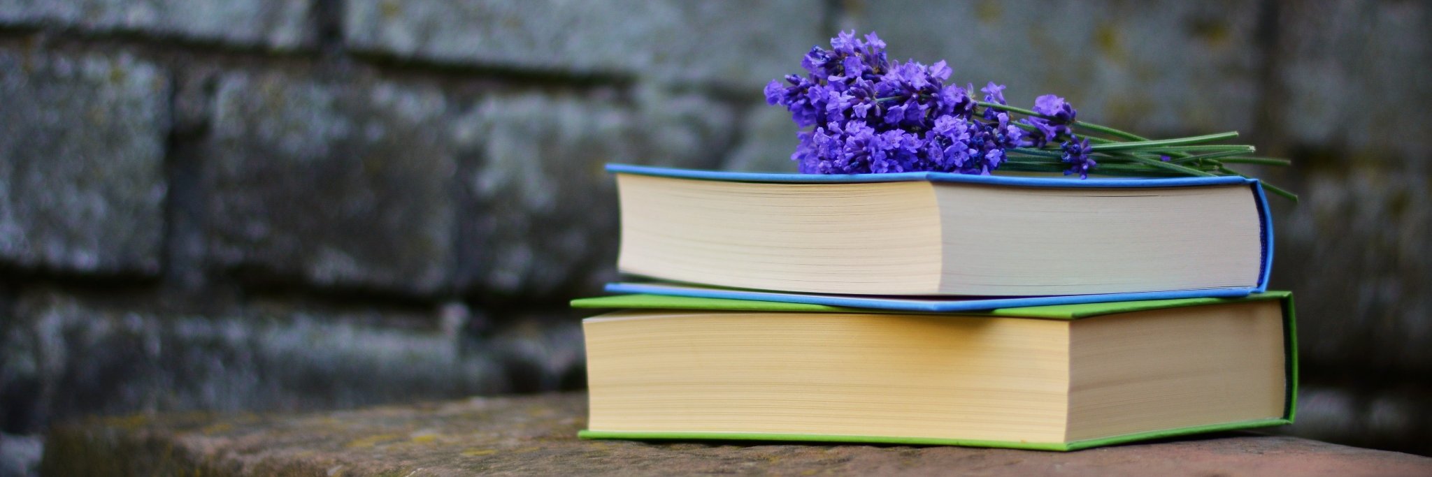 Erika Romero, PhD banner