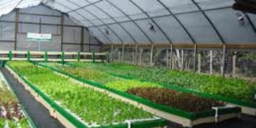 Aquaponics Co banner