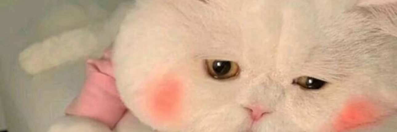 AaboryGg's profile banner image