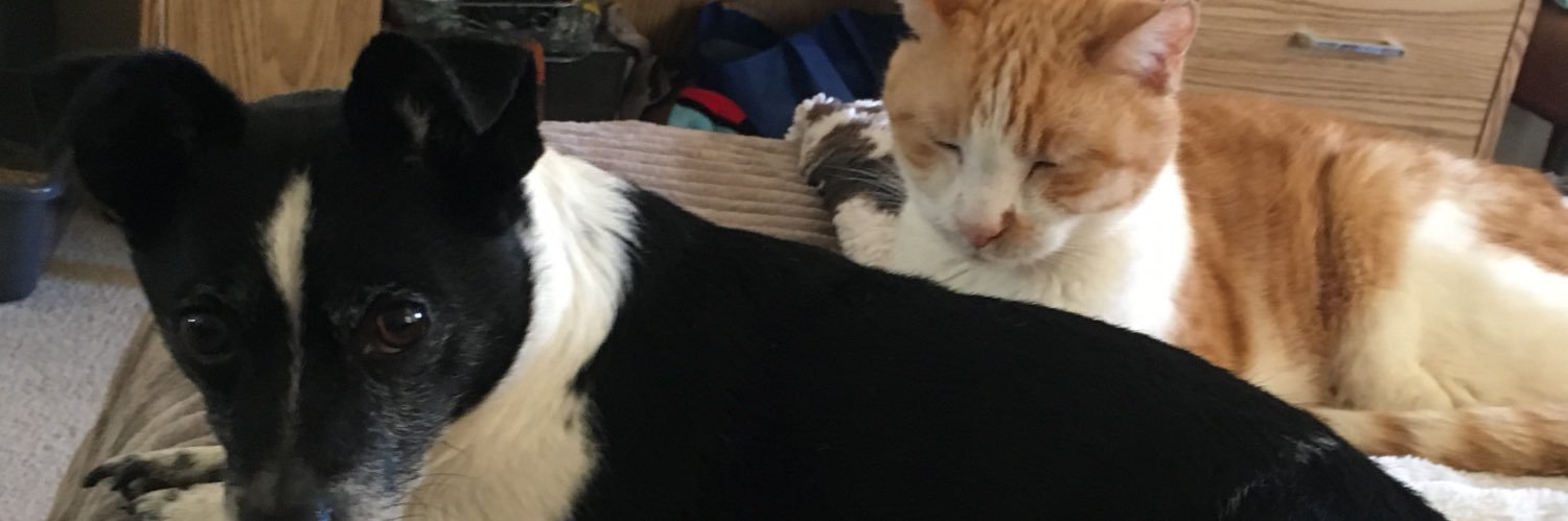 punkmito's profile banner image