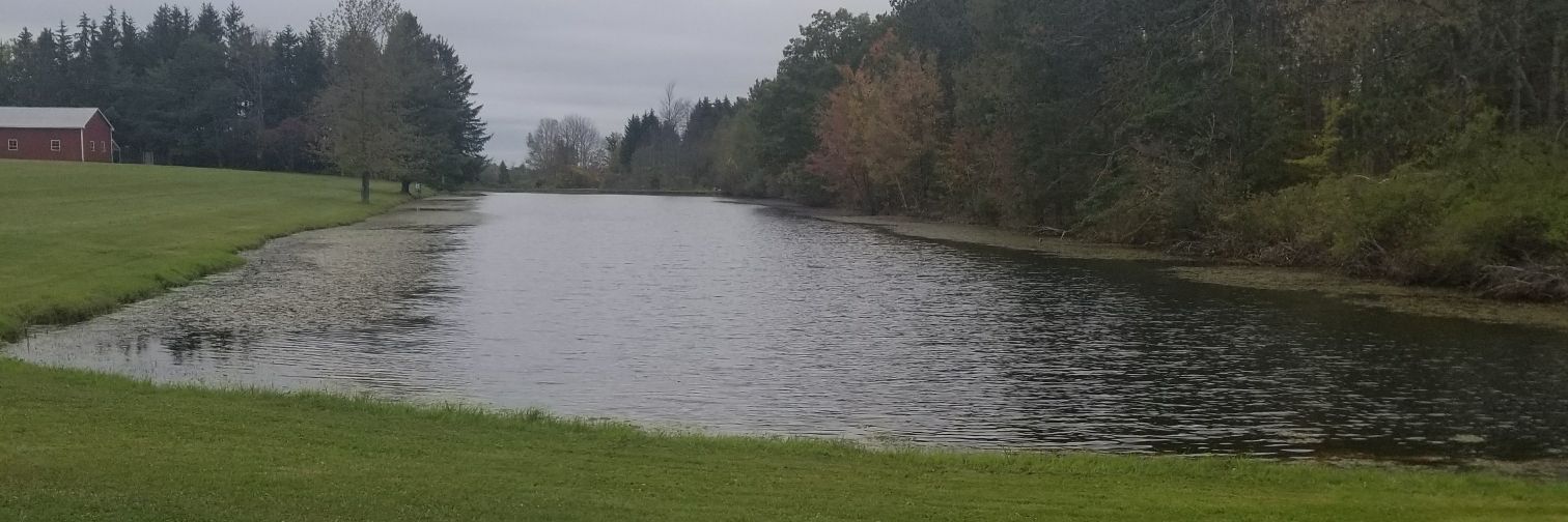 dbrandon20's profile banner image