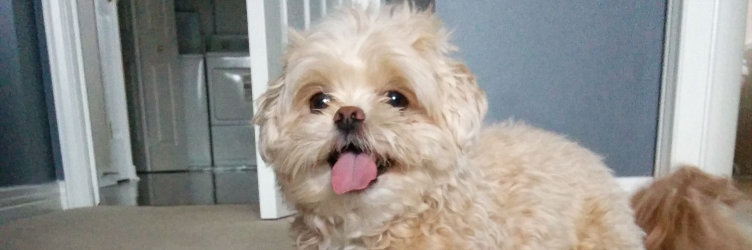 cryswin84's profile banner image