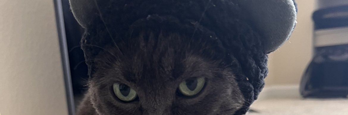 ughhmanda's profile banner image