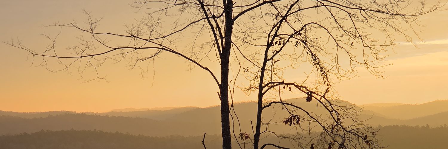 SetzerJohnny's profile banner image