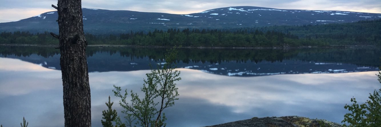 Jonasspersson's profile banner image