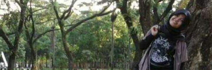 Anist15's profile banner image