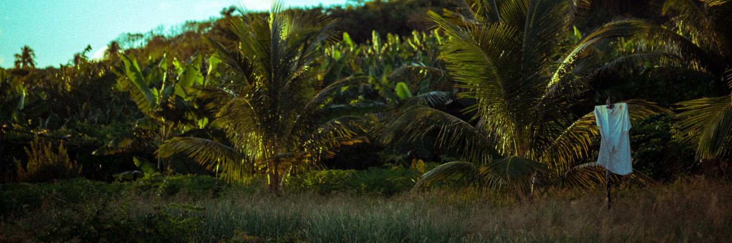SmallWarner's profile banner image