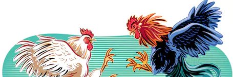 gokandres's profile banner image