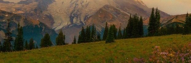 💕Mackenzie💕 banner