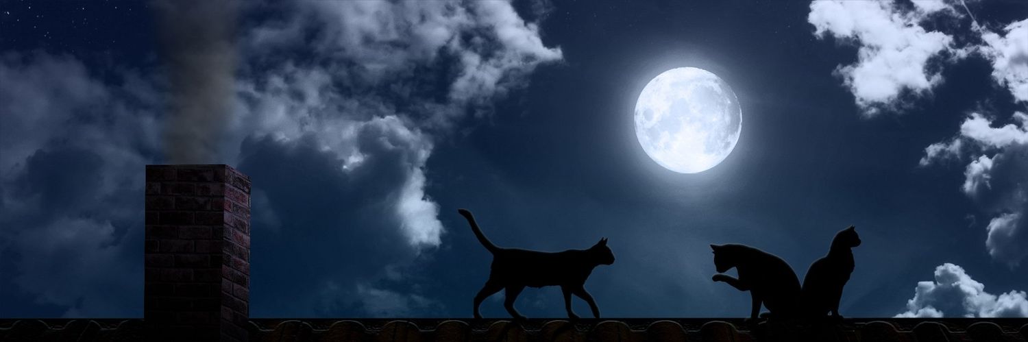IamCarlitax's profile banner image