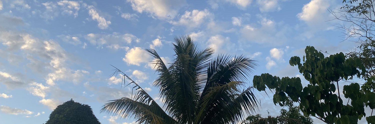 SuavesEstodo's profile banner image